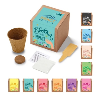 Bloom with Impact in Kraft Gift Box